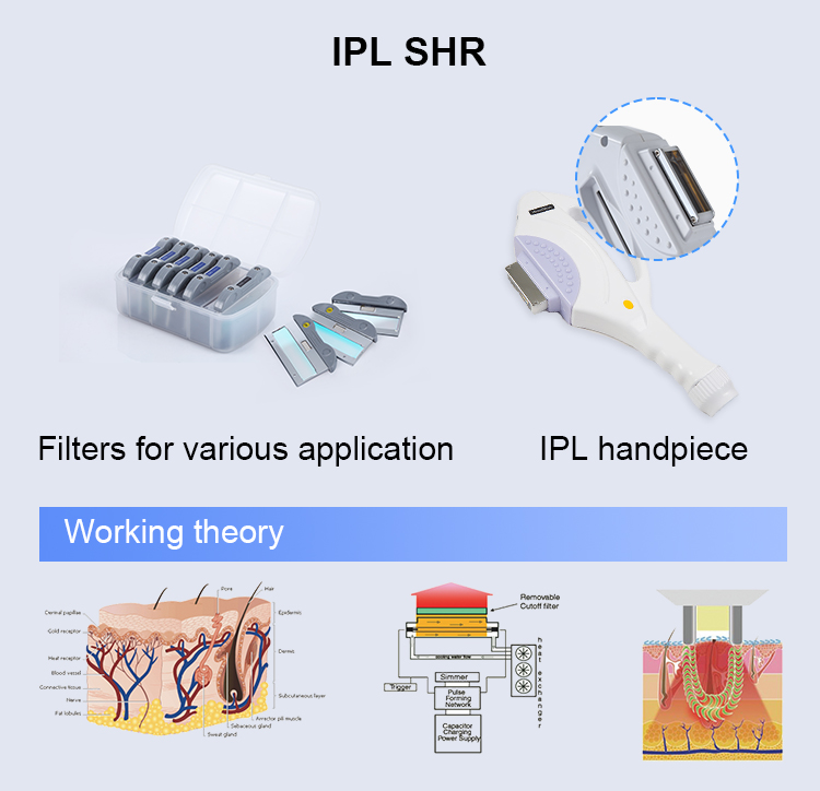 IPL-Handst&uuml;ck